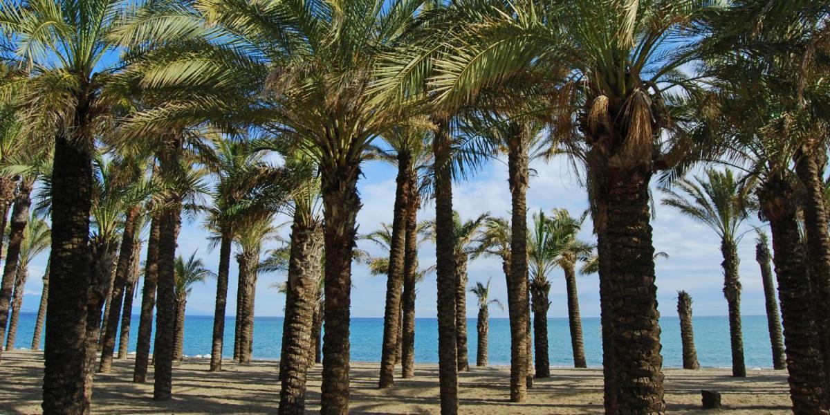 Apartamento Carole Playa Bajondillo Torremolinos Beach - Playa A 30 Segundos - Wifi - Parking - Terraza Exterior foto